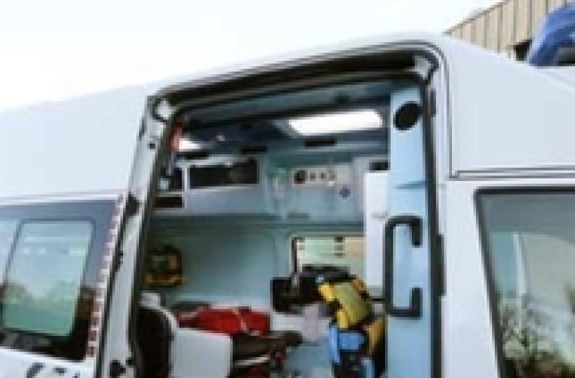 Bambina morsa al volto da cane randagio