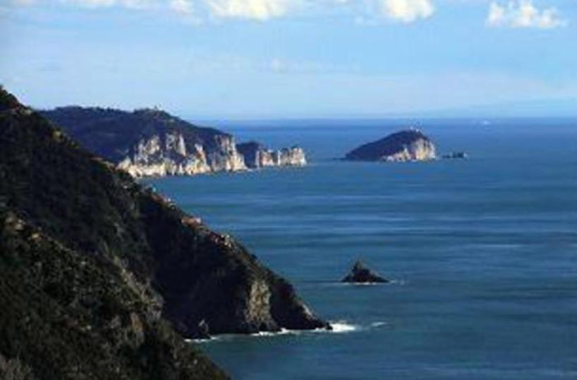 A Bruxelles petizione per proteggere isola della Palmaria