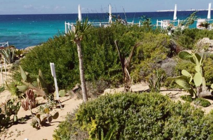 Giardino botanico sulla scogliera: a Gallipoli scattano sigilli e quattro denunce