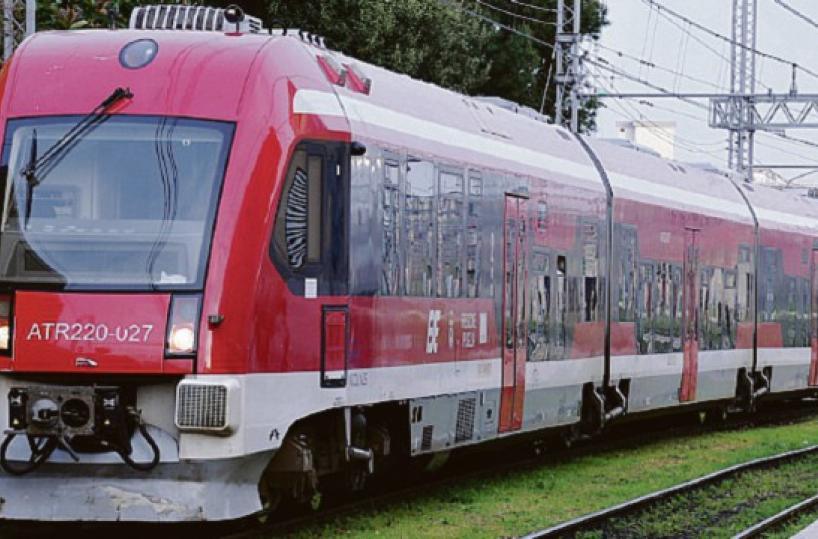 Treni  Ferrovie Sud Est