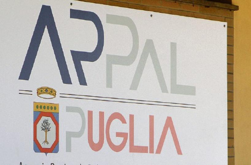 «Posti di lavoro venduti»: blitz della Finanza all’Arpal