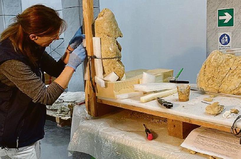 E la preistorica «Balena Giuliana» riaffiorerà al Palazzo Ridola di Matera
