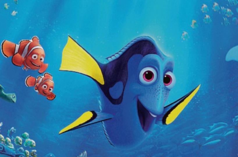 Tutti alla ricerca della piccola Dory, pesce chirurgo