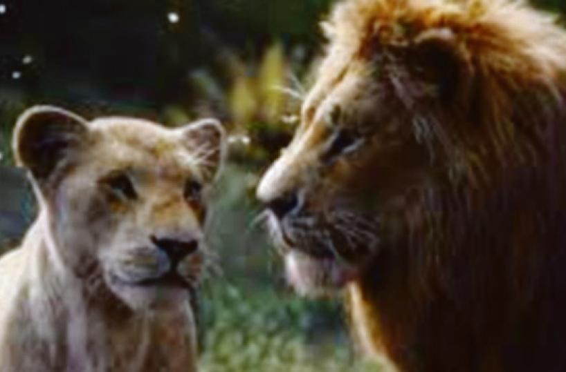 L’avventura del giovane Simba, futuro Re Leone