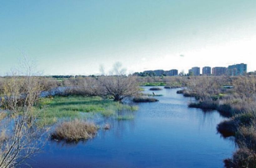 Taranto, parco «Salina piccola»: affidata la progettazione