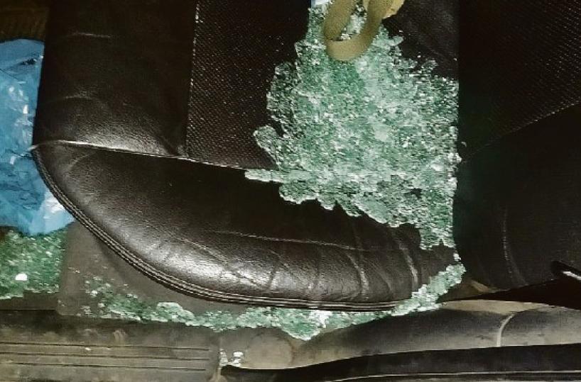 Parco dell'Alta Murgia: sparano al cinghiale, ma centrano un&rsquo;auto