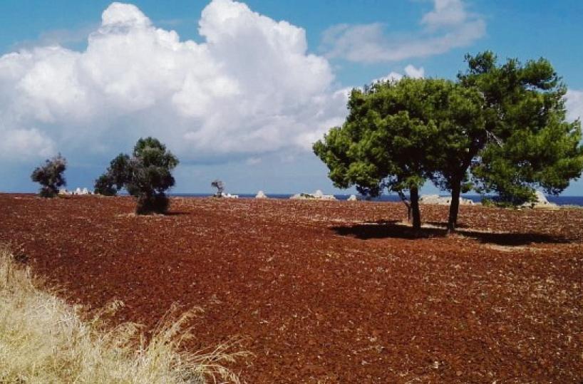Bari, la maledizione di Punta Perotti: anche Andidero rischia il crac 