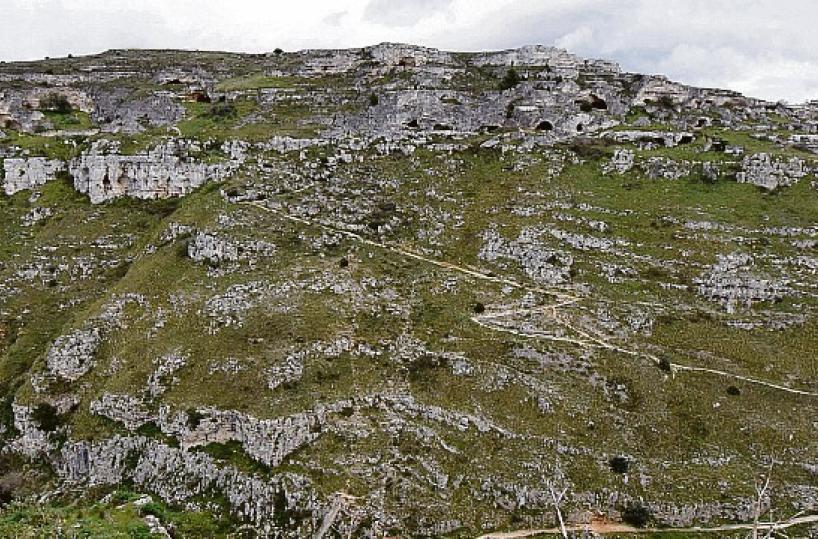 Murgia materana, il Parco «ferito» vuole rifiorire ancora