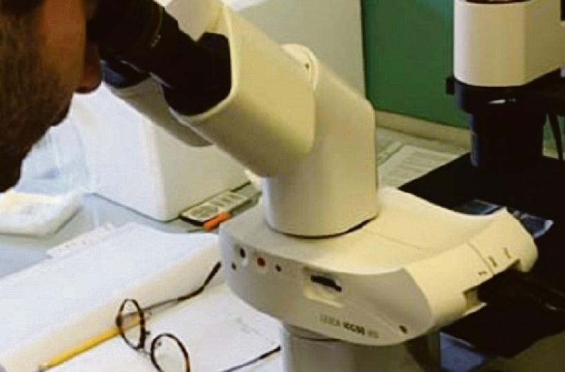Brindisi,  un «utile» incontro telematico sulla retribuzione per i «non medici»