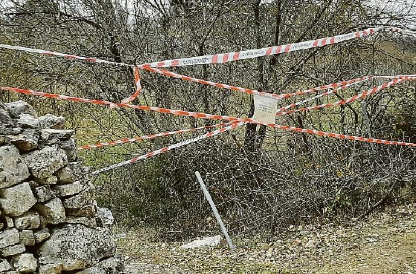 Santeramo, la storia di Michelle torna in Tribunale: oggi il processo all’ex marito violento
