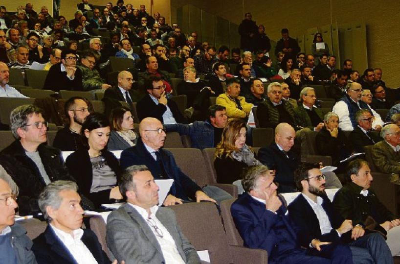 «Durum Days» sul grano duro: a Foggia summit nazionale