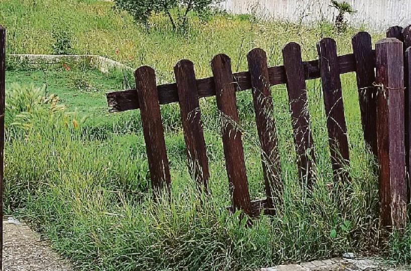 Ceglie, giardini e strade invase dalle sterpaglie alla vigilia dell’estate