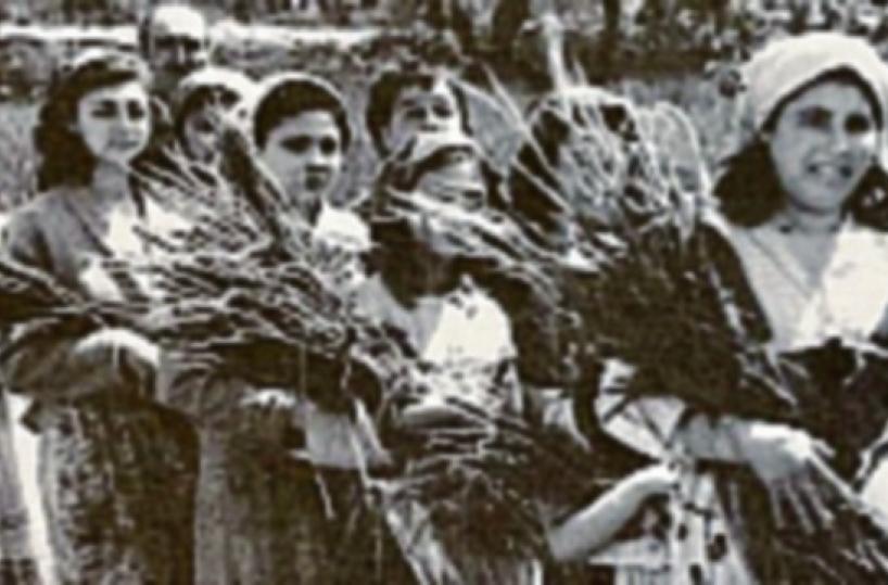 Bari, torna la «Festa delle Spighe» nella parrocchia di Santa Fara 