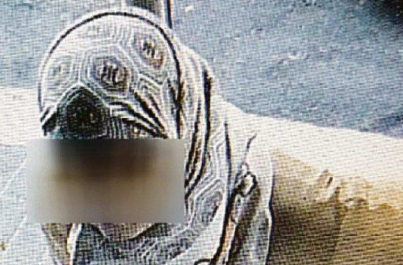 Bari, ruba 70 collane da 30mila euro: caccia alla ladra di via Manzoni