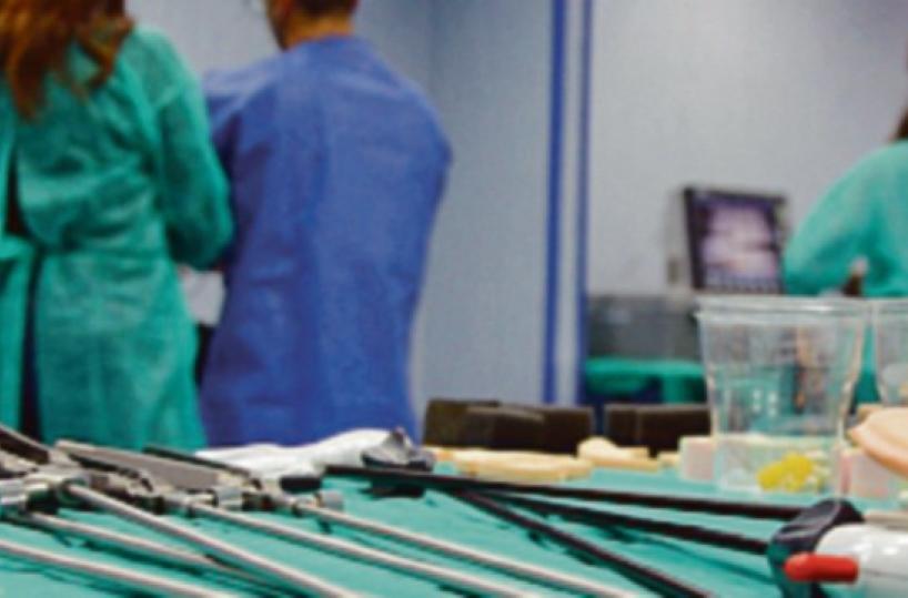 Foggia, tracce di topi nei corridoi del Policlinico: chiuse le chirurgie fino a lunedì