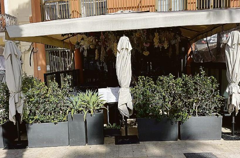Bari, piante e fiori sono fuorilegge: multe in corso Vittorio Emanuele