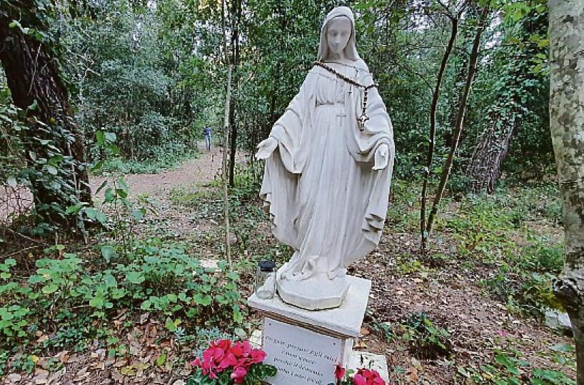 Martina, la «luce» di Maria nel bosco? C’è chi in quel luogo vorrebbe una chiesa