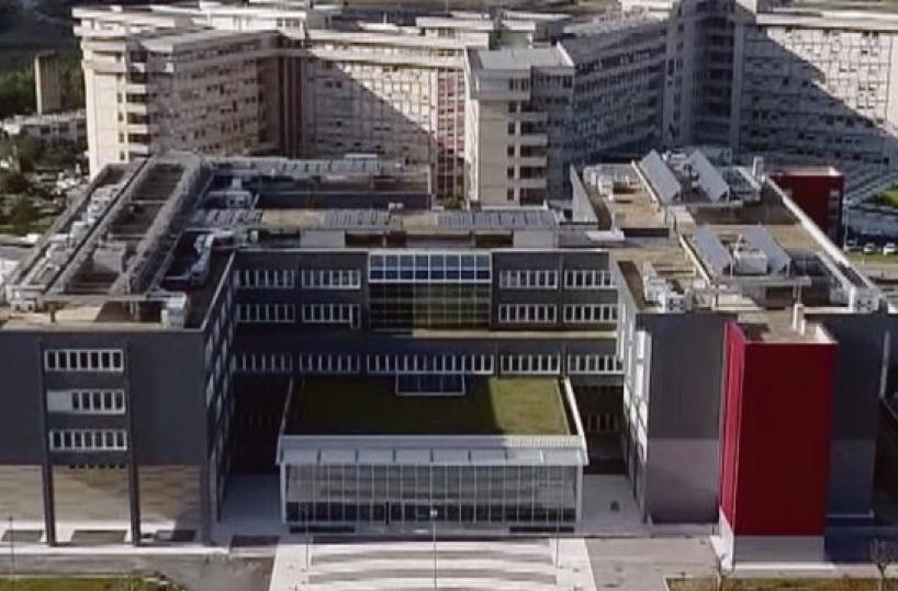 Infertilità, al «Vito Fazzi» eseguita la prima fecondazione in vitro
