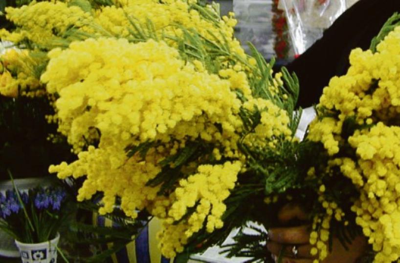 Le donne di Foggia e il coraggio di cambiare