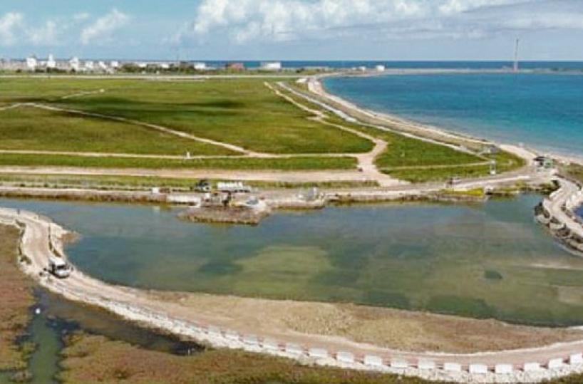 Brindisi, la storia della rinascita dell'area di Micorosa