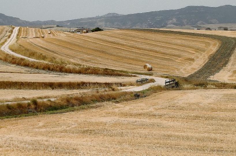 La foto del giorno del 21 luglio 2024