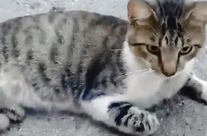 La foto del giorno del 23 settembre 2024