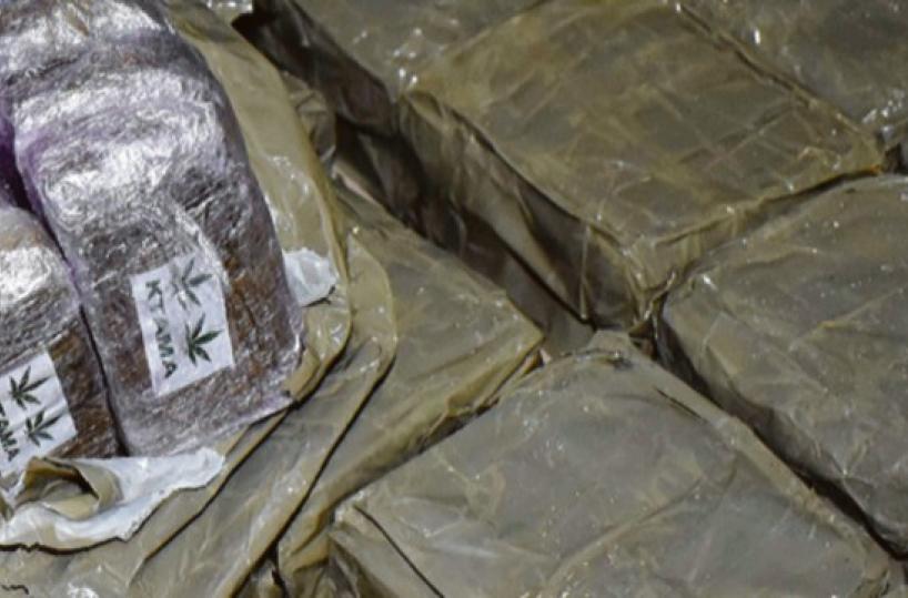 Bari, in frigo 400 kg di hashish: arrestato un insospettabile
