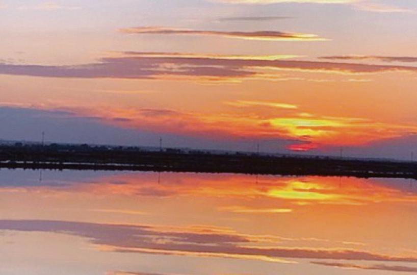 La foto del giorno del 23 novembre 2024