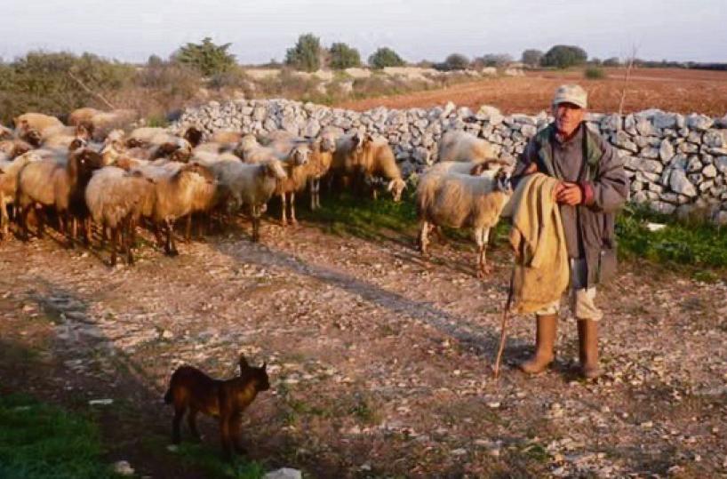 La foto del giorno del 19 gennaio 2025