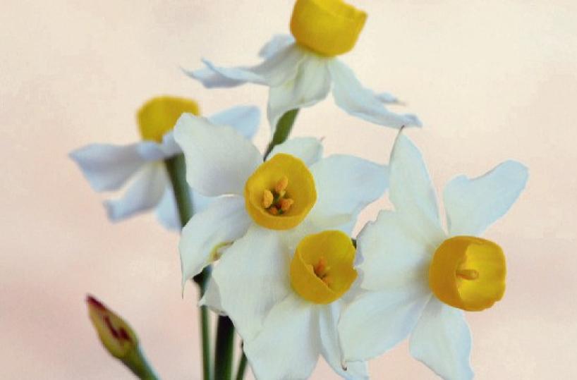 La foto del giorno del 21 gennaio 2025