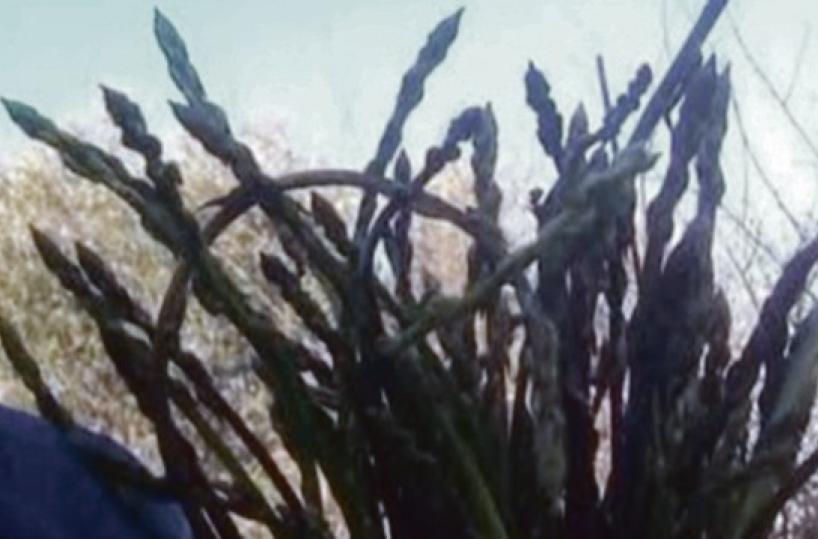 La foto del giorno dell'8 febbraio 2025