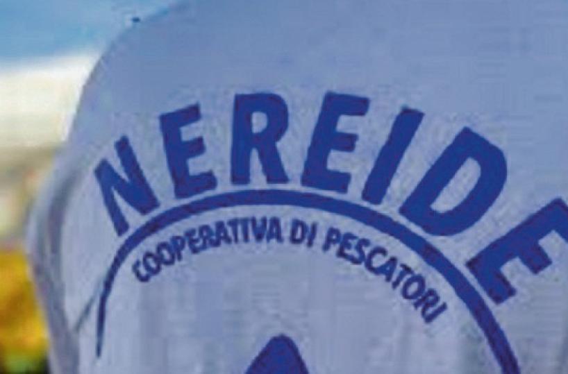 Taranto, blitz «Mare Nostro»: «Così la coop Nereide copriva gli affari illeciti del clan Scarcia-Scarci»