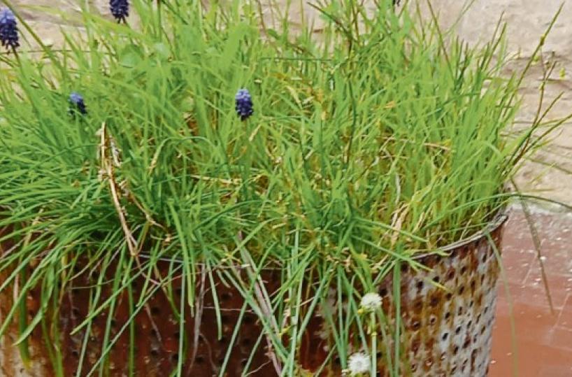 La foto del giorno del 10 marzo 2025