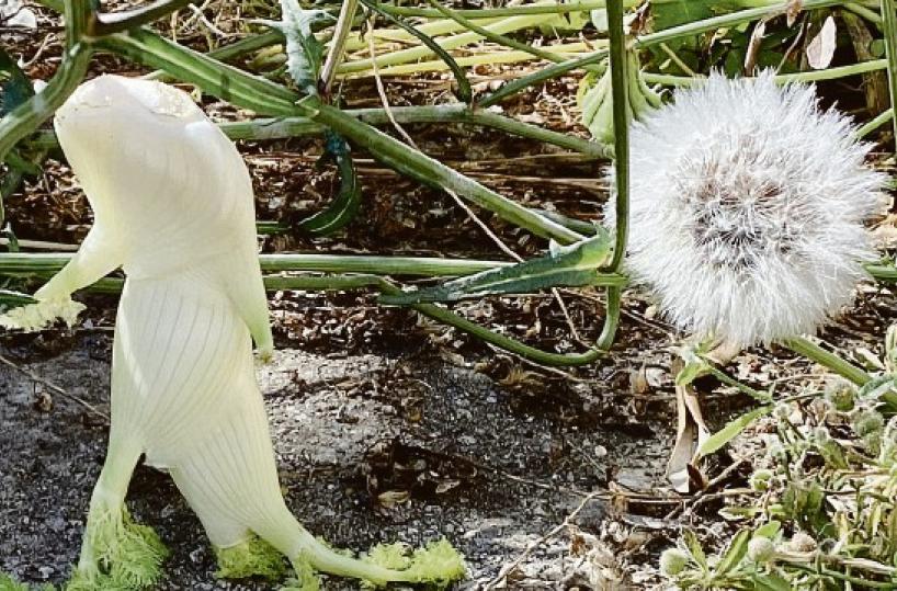 La foto del giorno del 6 aprile 2025