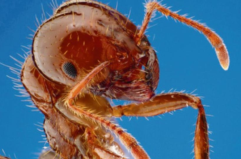 La foto del giorno del 16 aprile 2025