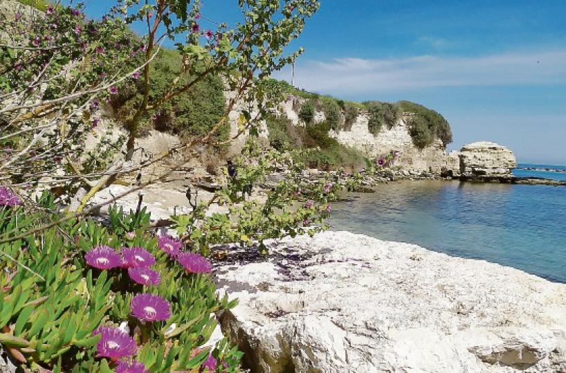 La foto del giorno del 23 aprile 2025