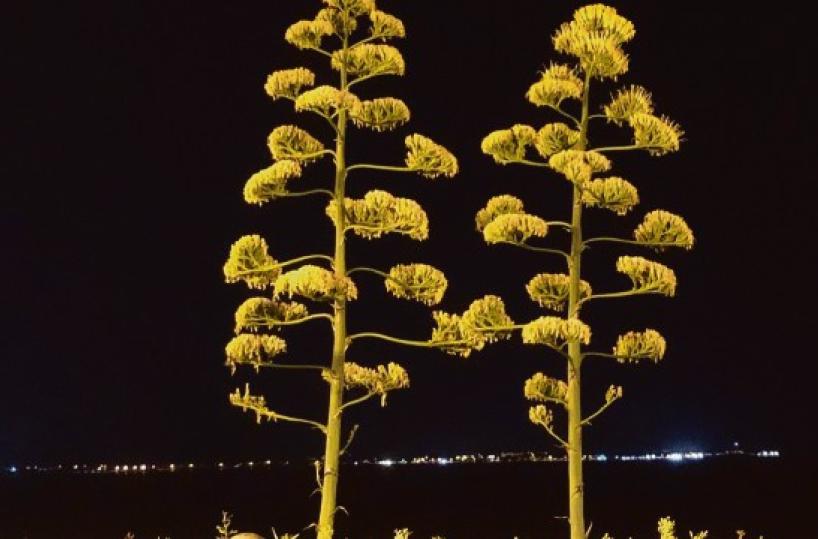 La foto del giorno del 27 aprile 2025