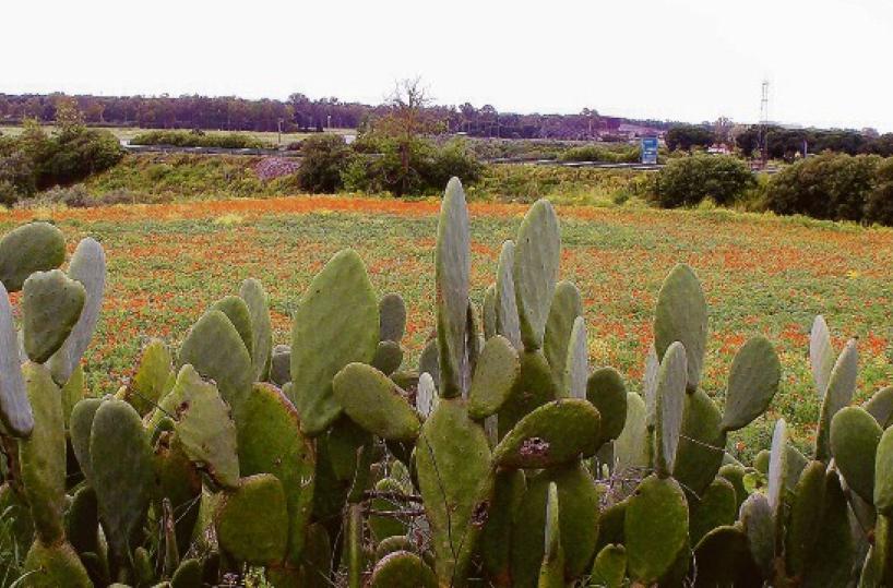 La foto del giorno del 7 maggio 2025