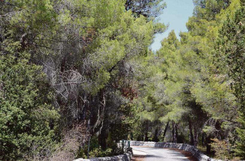 La foto del giorno del 15 maggio 2025