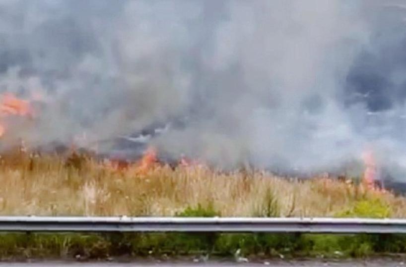 La foto del giorno del 19 maggio 2025