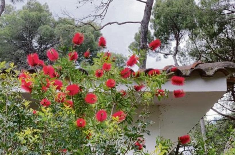 La foto del giorno del 26 maggio 2025