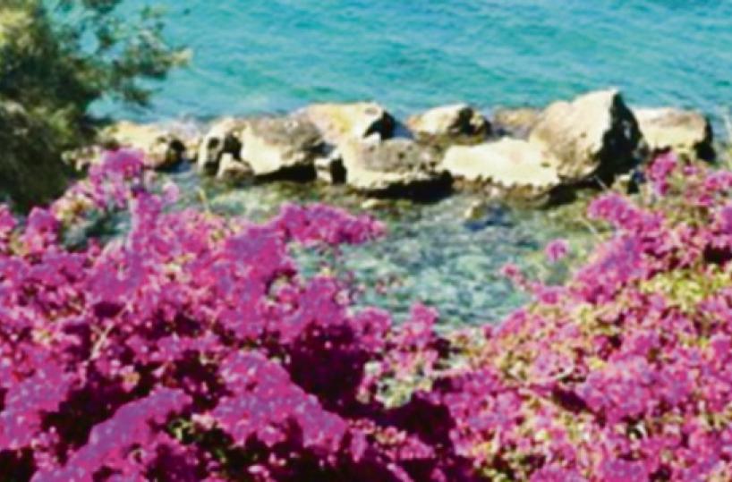 La foto del giorno del 29 maggio 2025