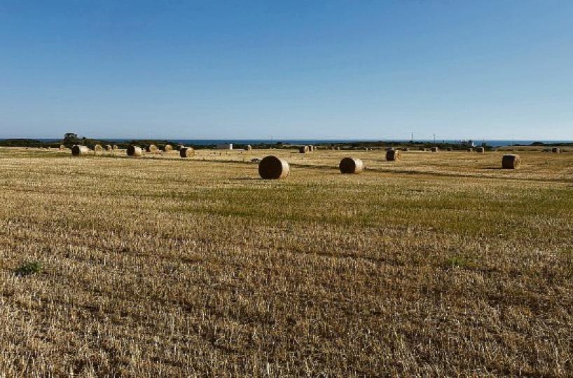 La foto del giorno del 2 giugno 2025