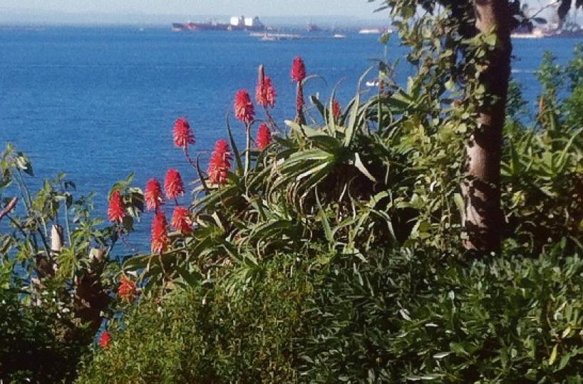 La foto del giorno del 5 giugno 2025