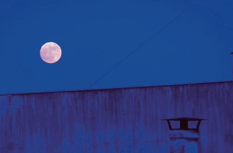 La Luna delle fragole immortalata a Capurso: ecco la foto del giorno del 12 giugno 2025