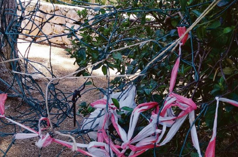 La foto del giorno del 3 luglio 2025