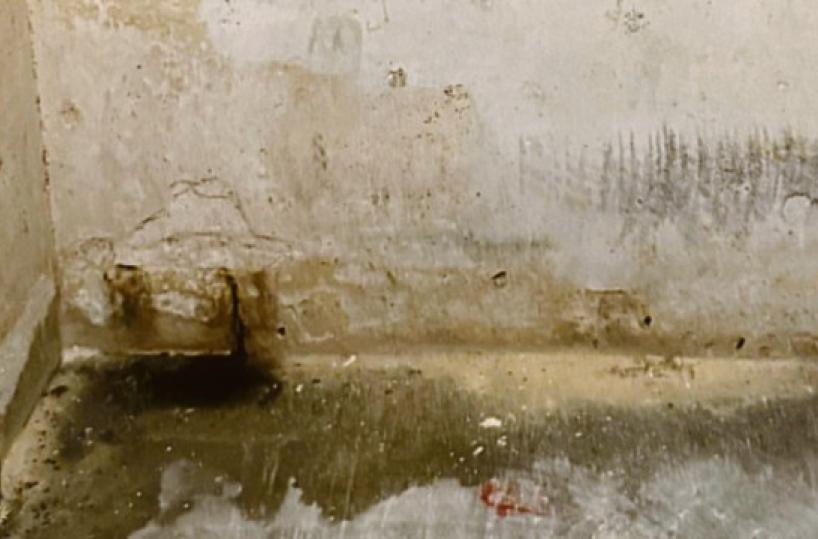 Case popolari al San Paolo di Bari, la denuncia: «Mia madre 85enne vive tra blatte, muffa e umidità»