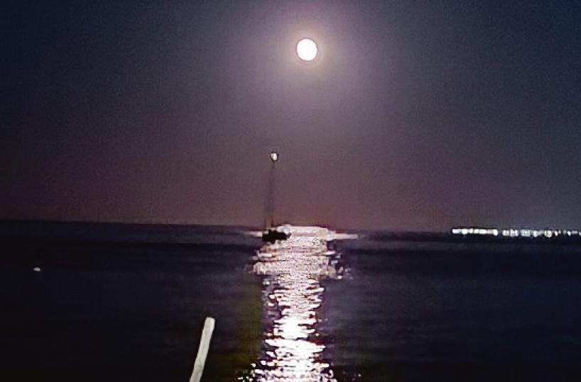 La foto del giorno del 20 luglio 2025