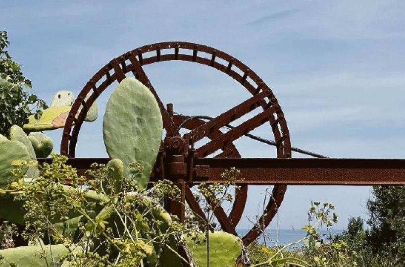 La foto del giorno del 26 luglio 2025