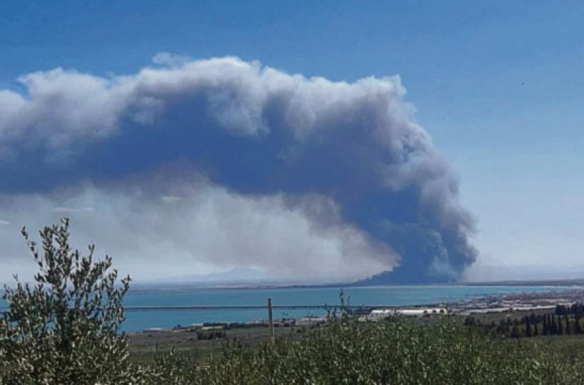Gli incendi sul Gargano devastano anche l’anima